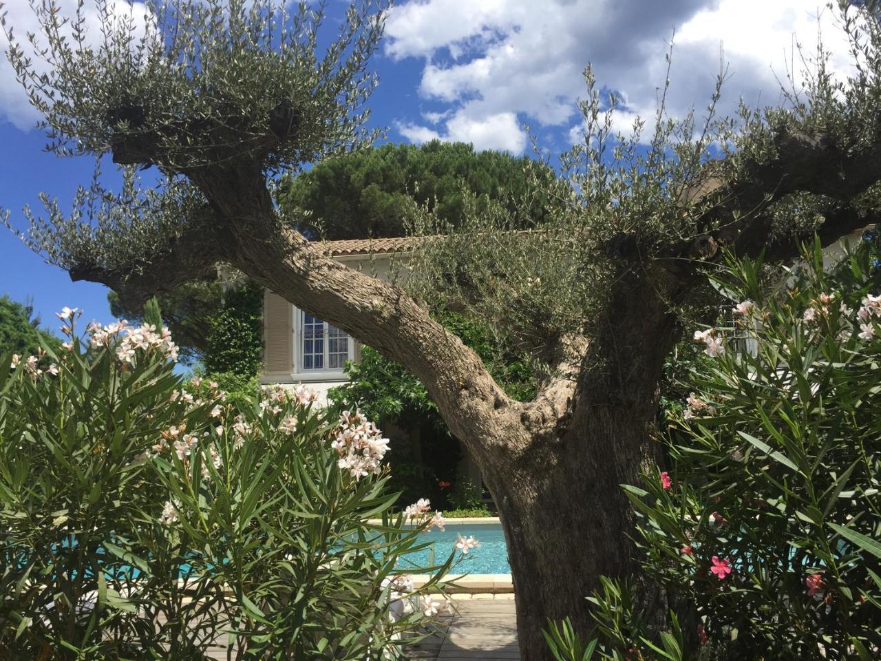 Villa La Begude - Boutique Luxury B&B Saint-Tropez Exterior photo
